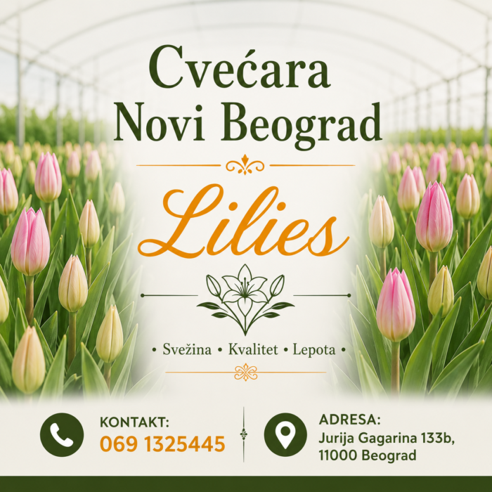 Cvećara Novi Beorgad – Lilies