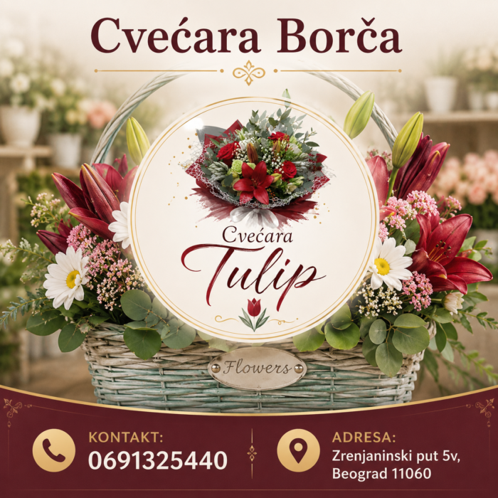 Cvećara Borča – Tulip