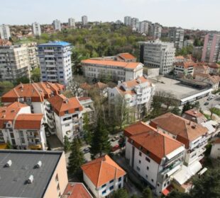 Čukarica