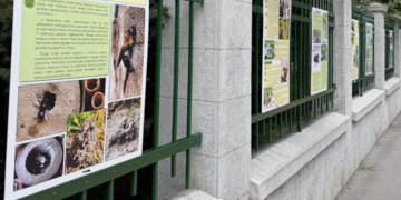 Izložba na ogradi Botaničke bašte (Foto/Beta)