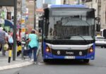 Foto: Snežana Krstić/Vrangler