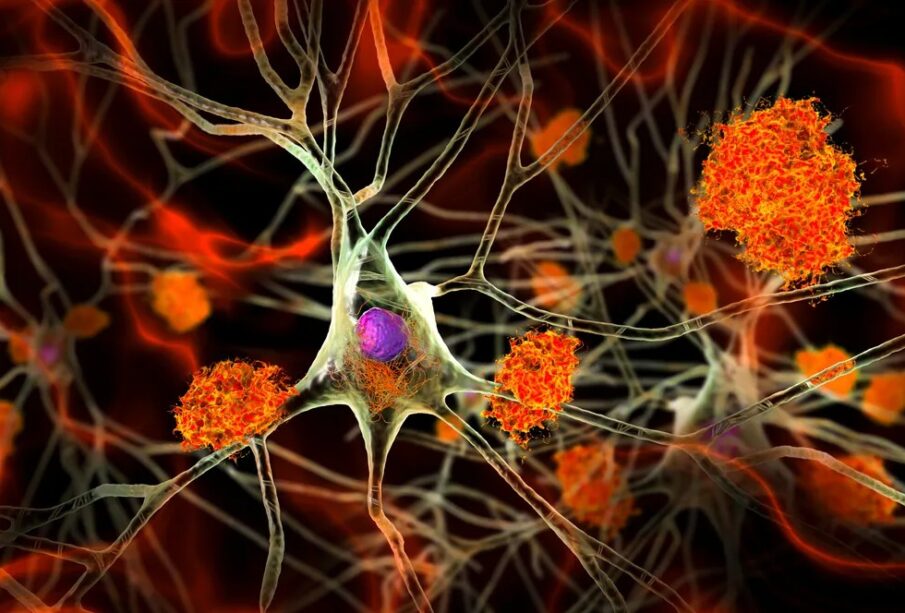 Foto: Kateryna Kon/Shutterstock.com