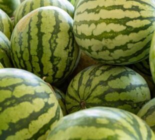 Foto: Lex Nichols / Alamy / Profimedia