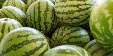 Foto: Lex Nichols / Alamy / Profimedia