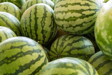 Foto: Lex Nichols / Alamy / Profimedia