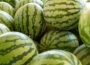 Foto: Lex Nichols / Alamy / Profimedia