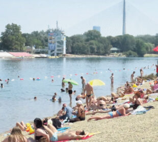 Foto: A. Vasiljević