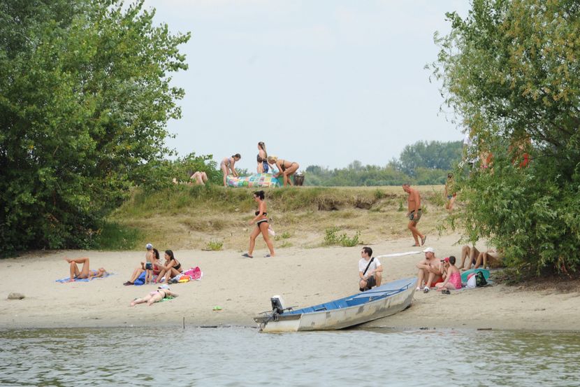 Foto: Tanjug/ Tara Radovanović
